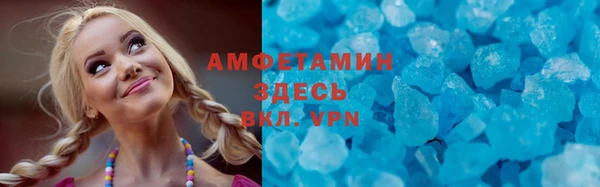 гидра Болотное