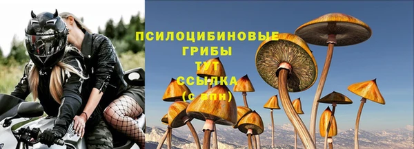 бошки Михайловск