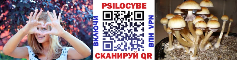 купить наркоту  Качканар  Галлюциногенные грибы мухоморы 