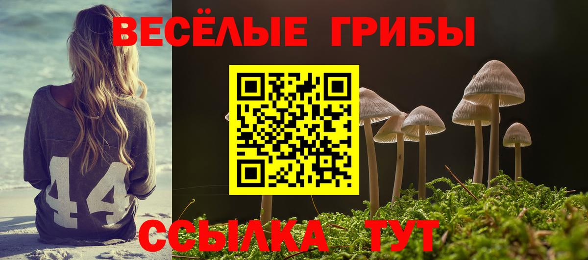 Псилоцибиновые грибы Psilocybine cubensis  Вход с VPN  Качканар 