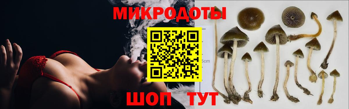 Галлюциногенные грибы Magic Shrooms Качканар