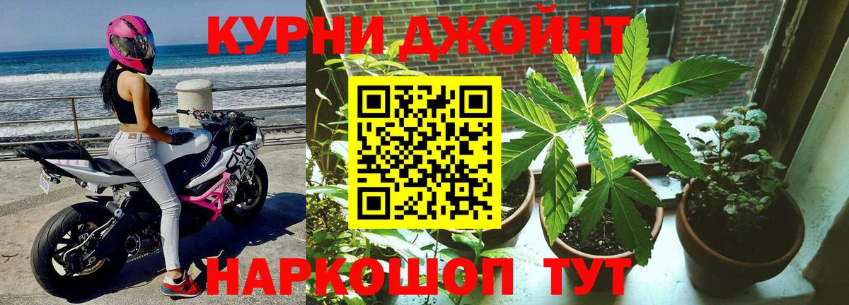 Качканар  Конопля сатива  Бошки Шишки THC 21%  Шишки марихуана Ganja  Вход с VPN 